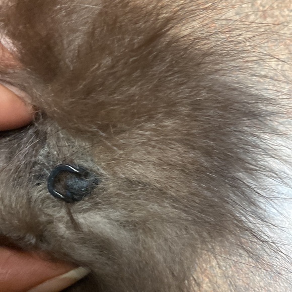 Genuine Fox Fur Accessory# 64. - Picture 8 of 11